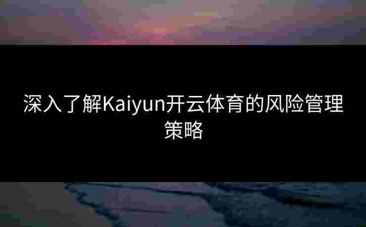 深入了解Kaiyun开云体育的风险管理策略