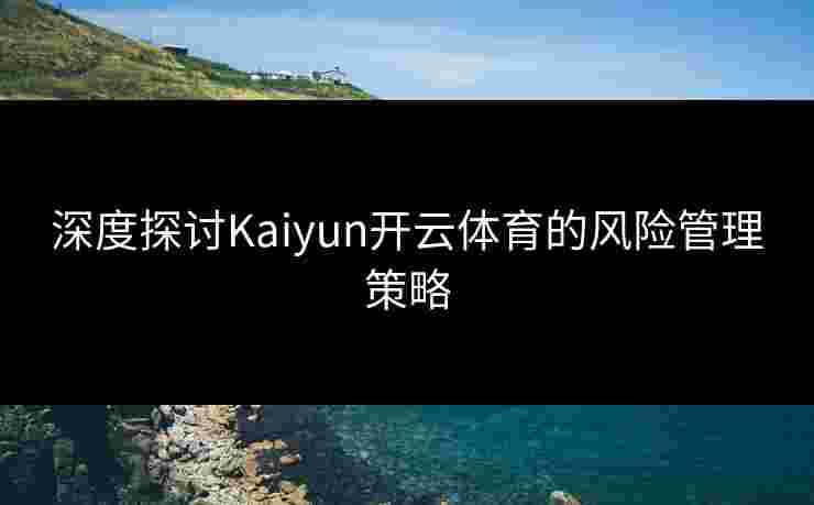 深度探讨Kaiyun开云体育的风险管理策略